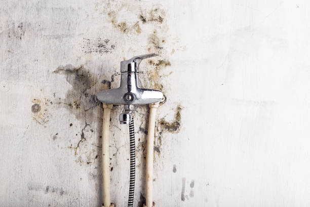 Gerber, CA Mold Removal Company