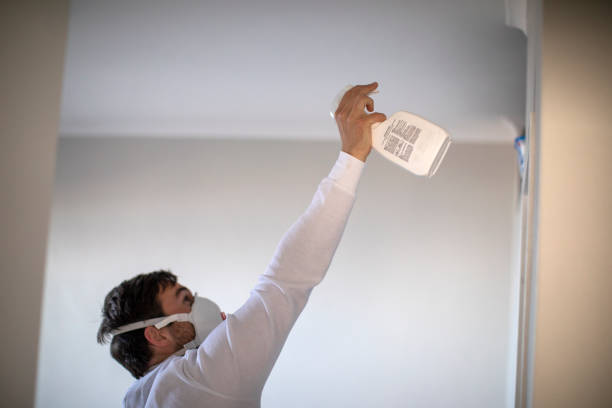 Best Mold Cleaning Services  in Gerber, CA