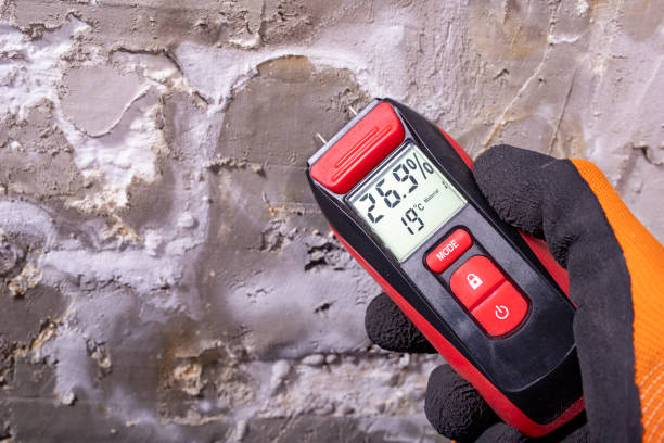 Best Mold Removal Near Me  in Gerber, CA