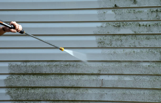 Mold Removal and Inspection in Gerber, CA
