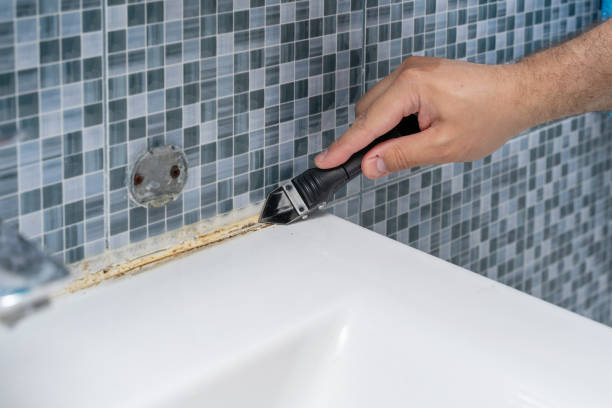 Best Professional Mold Removal  in Gerber, CA