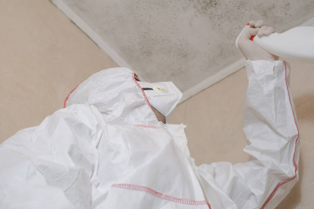 Best Affordable Mold Removal  in Gerber, CA