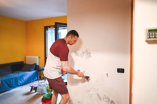 Professional Mold Removal in Gerber, CA